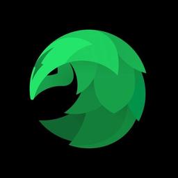SafeShellVPN